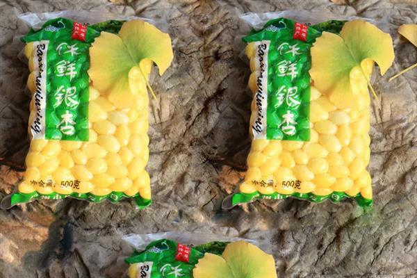 白果的简介,是指银杏树结出的果实