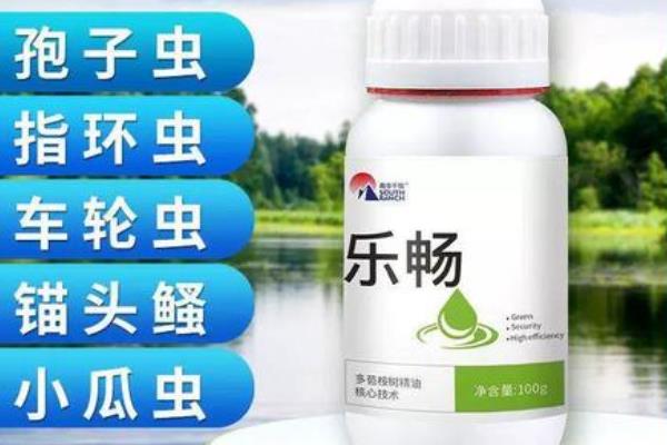 黄辣丁寄生虫的清理方法，可通过内服加外用的方式