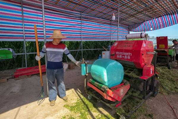 饲料袋的规格，主要分为50kg规格和25kg规格