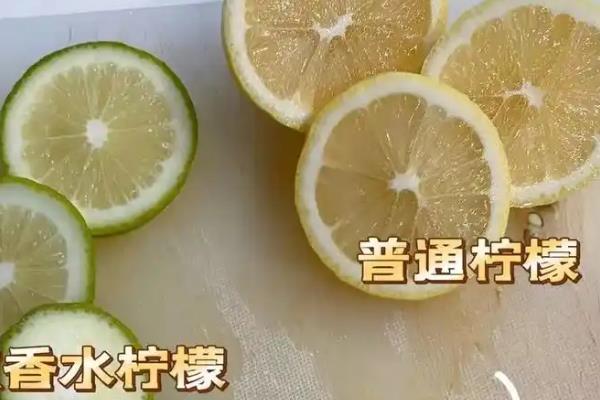 香水柠檬与普通柠檬的区别，果型、花型、香味、口感均不同
