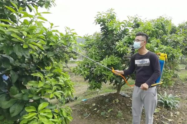 虱螨脲不能和哪些药物一起使用，禁止与碱性药物混用