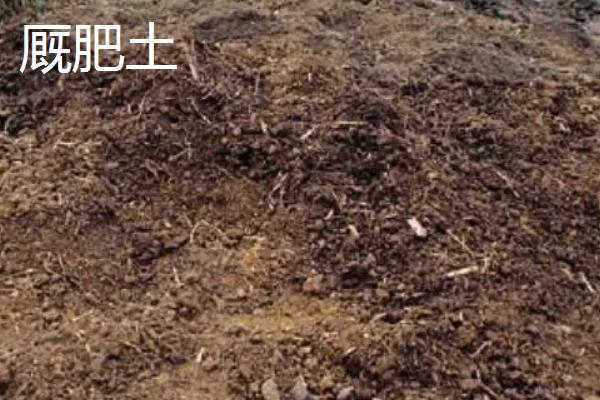养花如何配制营养土，根据所需土壤类型使用不同的材料去搭配