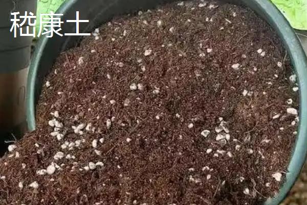 养花如何配制营养土，根据所需土壤类型使用不同的材料去搭配
