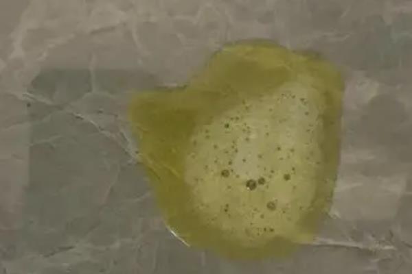 治疗小狗拉稀呕吐的方法，肠胃不适或过度进食可饲喂益生菌