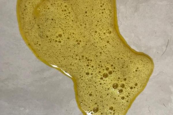治疗小狗拉稀呕吐的方法，肠胃不适或过度进食可饲喂益生菌