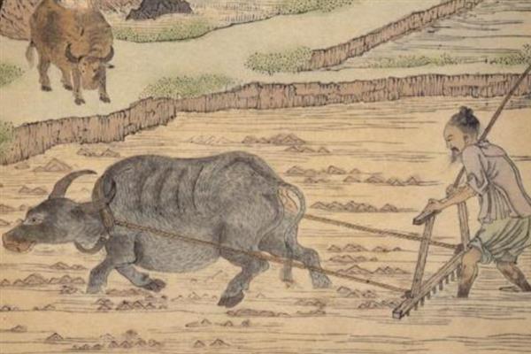 近代农业简介，指发达国家19世纪后期至20世纪40年代的农业