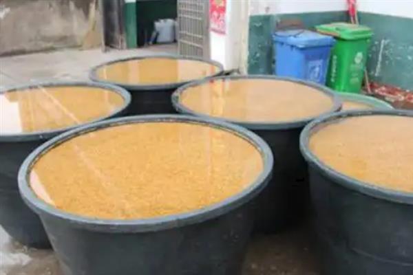 水稻干尖线虫病如何防治，用线菌清、敌敌畏、杀线酯乳油等药物浸种