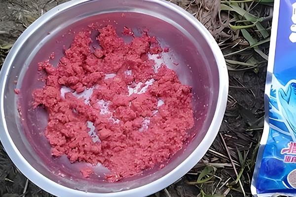 初春野钓鲫鱼怎么搭配商品饵料，以下4个配方可酌情选择