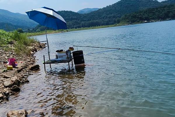 冬季雨后第二天好不好钓鱼，鱼类较活跃垂钓效果较好