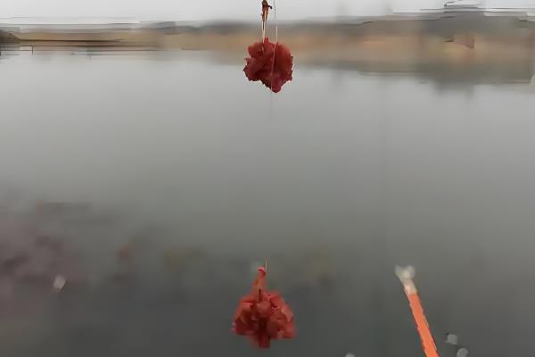 钓鱼拉丝粉买多少目，根据需求来选择