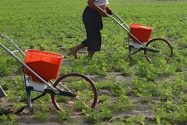 花生怎么种植，苗期追施氮肥可促进生长