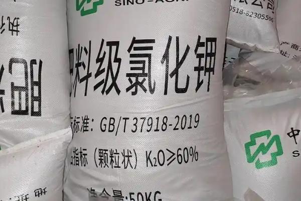 花生怎么种植，苗期追施氮肥可促进生长