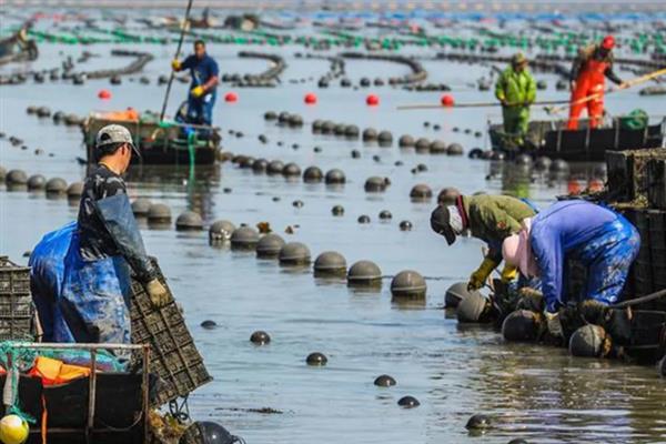 特种经济动物的养殖关键,需完整办理所需要的各种手续