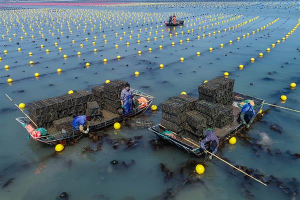 特种经济动物的养殖关键,需完整办理所需要的各种手续