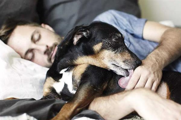 狗狗缺爱有什么特征，具有讨好主人、一直跟随主人等表现