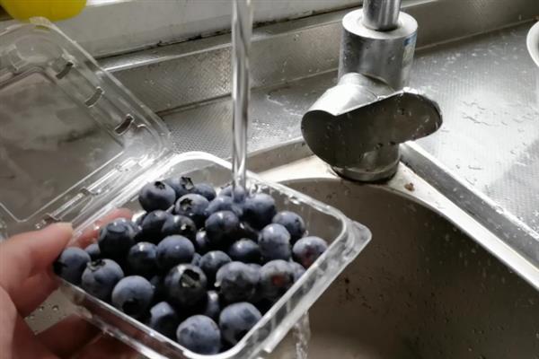 蓝莓的存放时间，温度越高存放时间越短