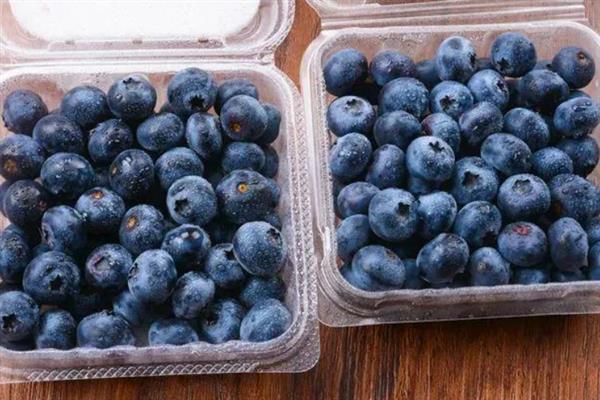 蓝莓的存放时间，温度越高存放时间越短