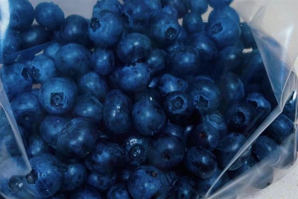 蓝莓的存放时间，温度越高存放时间越短