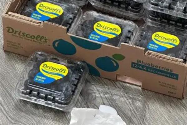 蓝莓的存放时间，温度越高存放时间越短