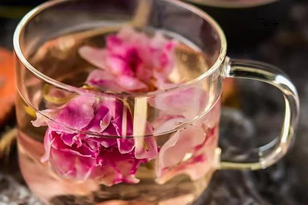 木芙蓉花常见的病虫害及防治方法，常见的有蚜虫、红蜘蛛等