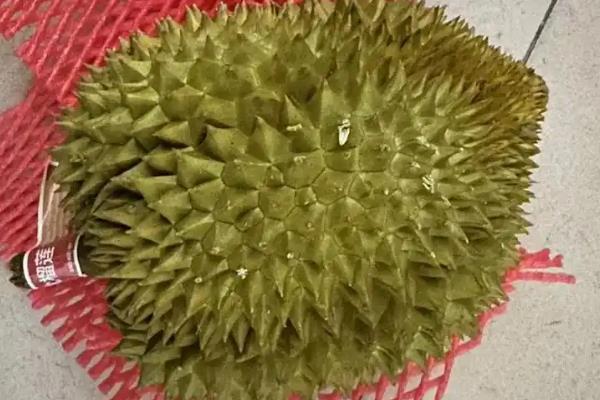 榴莲为什么这么贵，因为其运输成本和人工费高