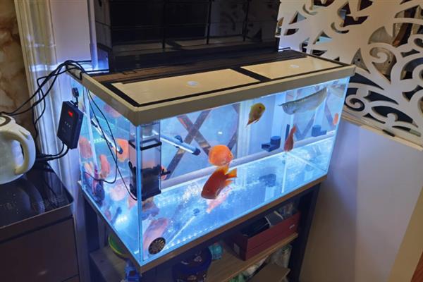 海水鱼的水怎么配,要用淡水和海盐来配制