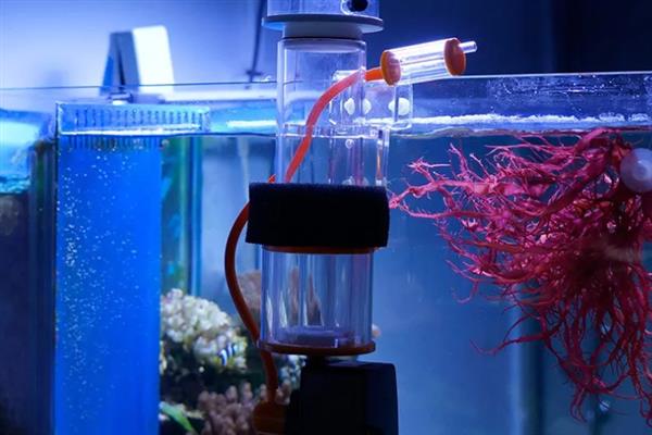 海水鱼的水怎么配,要用淡水和海盐来配制