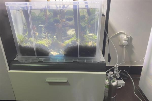 海水鱼的水怎么配,要用淡水和海盐来配制