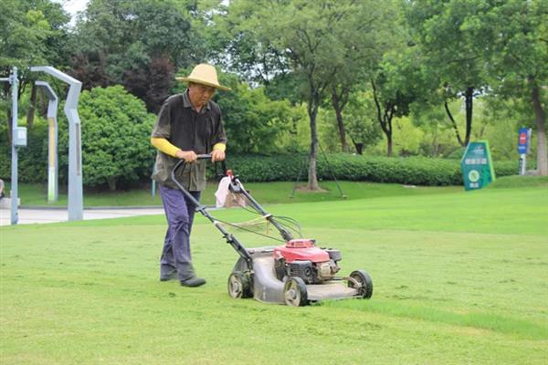 草坪杂草怎么防除，可根据杂草类型使用针对性除草剂
