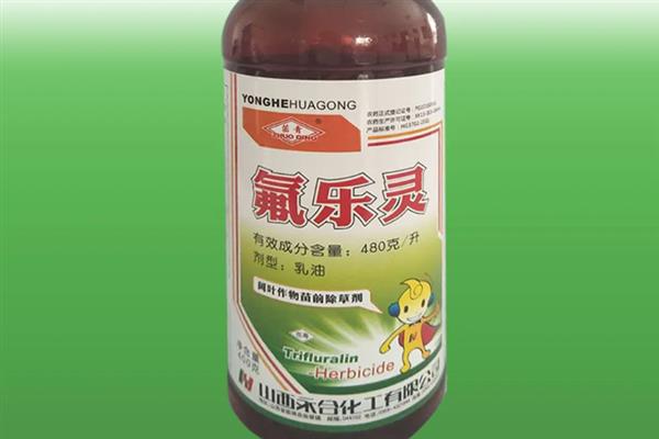 草坪杂草怎么防除，可根据杂草类型使用针对性除草剂