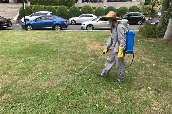 草坪杂草怎么防除，可根据杂草类型使用针对性除草剂