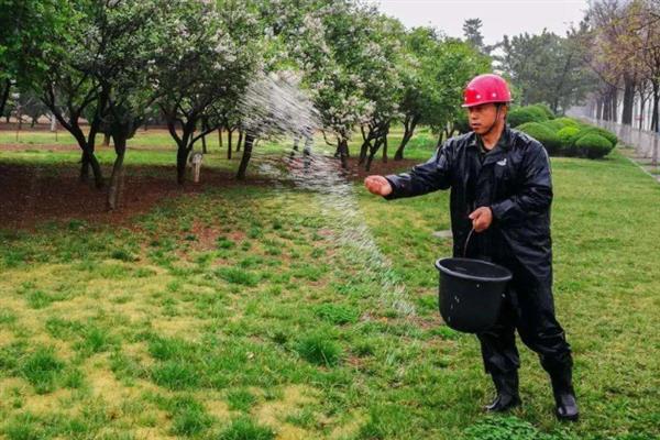草坪杂草怎么防除，可根据杂草类型使用针对性除草剂