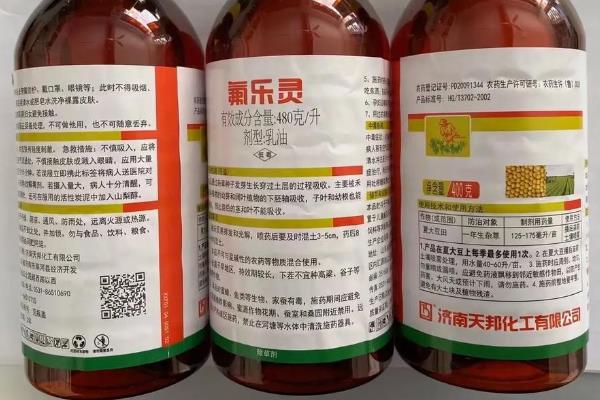 油菜杂草丛生如何选择农药，可选择乙草胺、氟吡甲禾灵等
