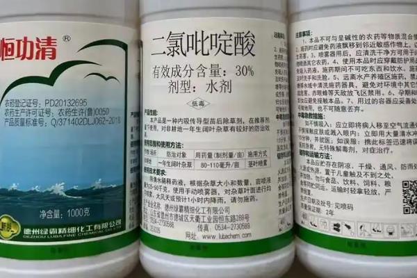 油菜杂草丛生如何选择农药，可选择乙草胺、氟吡甲禾灵等