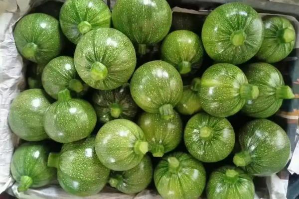 南瓜是不是蔬菜，属于口感好且保存时间长的蔬菜