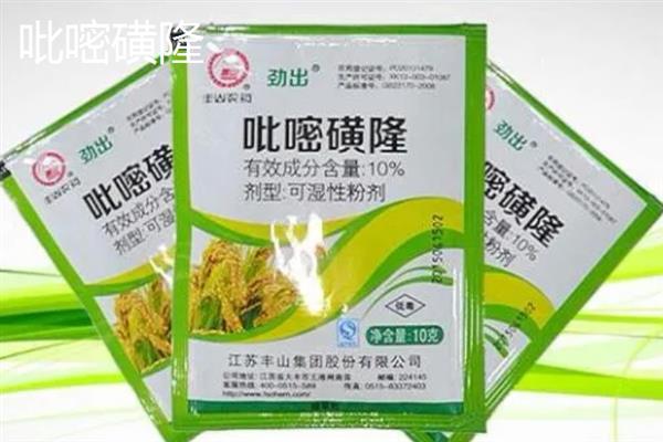 水稻药害的现象有什么，常表现出黄化褪绿、病斑坏死等