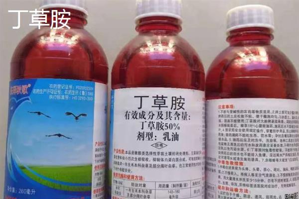 水稻药害的现象有什么，常表现出黄化褪绿、病斑坏死等