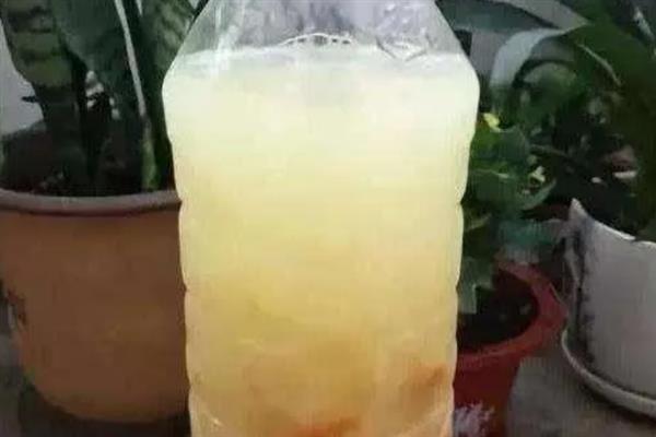 浇花时把自来水变成弱酸性的方法，浇花前可向土壤中滴入无盐白醋