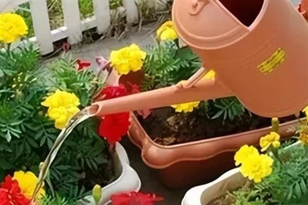 浇花时把自来水变成弱酸性的方法，浇花前可向土壤中滴入无盐白醋