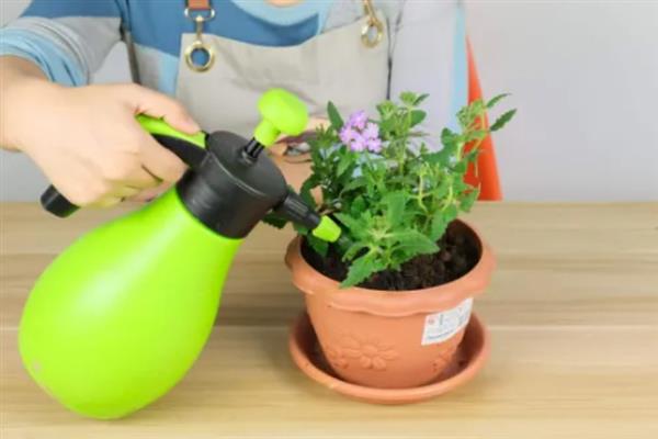 浇花时把自来水变成弱酸性的方法，浇花前可向土壤中滴入无盐白醋