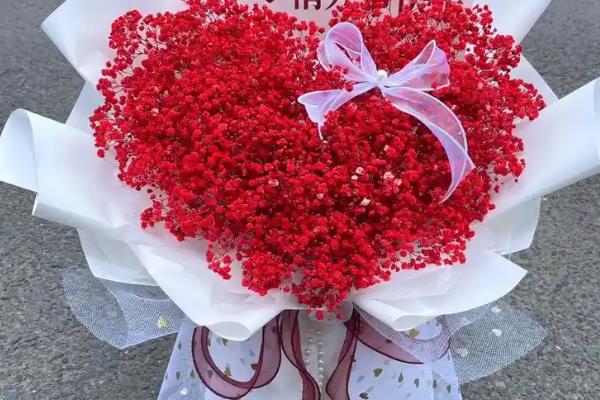 红色满天星有什么花语，代表衬托着你、真挚的爱