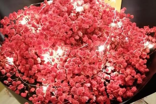 红色满天星有什么花语，代表衬托着你、真挚的爱