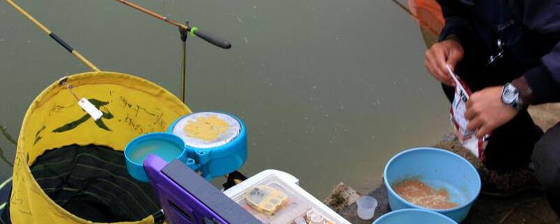 快速诱鲫鱼的窝料配方，一般用大米、粗玉米渣等材料混配