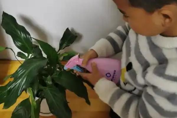 怎么养殖一帆风顺，冬季把温度保持在14-16℃