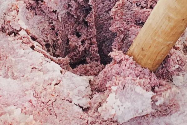 蜢子虾的产地,产地主要是在胶东半岛地区