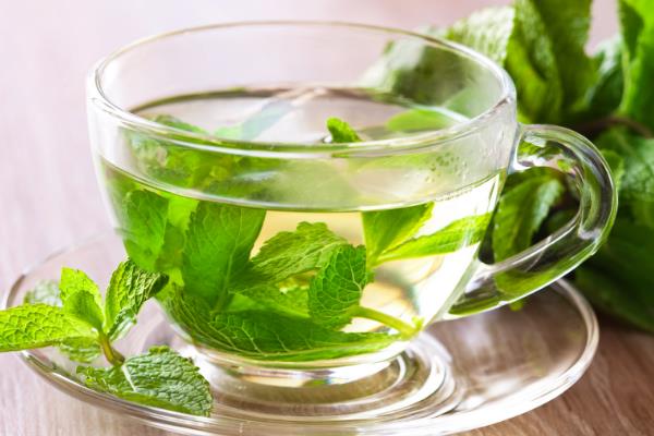 薄荷能不能吃，具有生食、榨汁、泡茶等食用方法