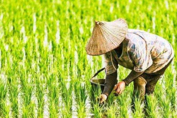 小农经济的特点，存在生产经营规模小、工艺和操作较简单等特征