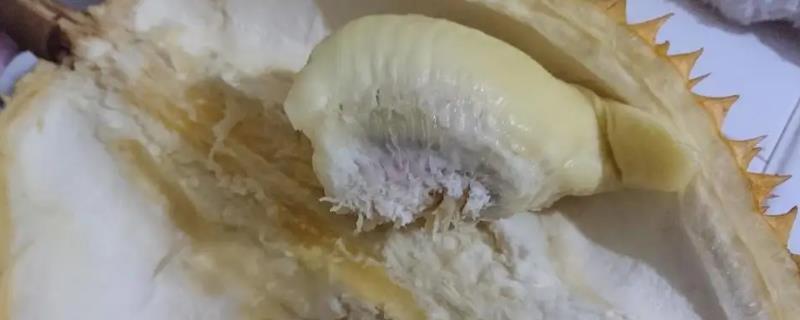 榴莲坏了是怎样的，闻起来会有刺鼻的味道