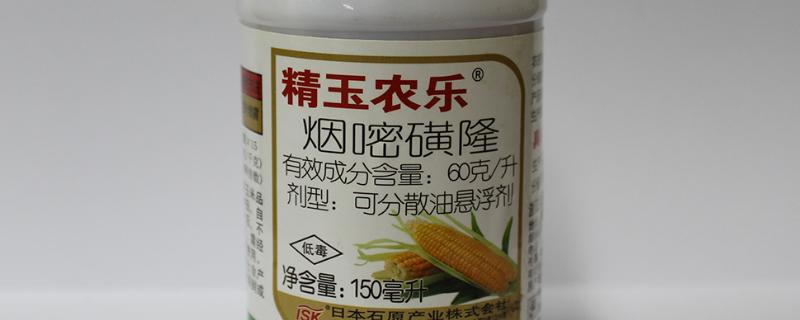 烟嘧磺隆打完几小时下雨不影响药效，喷药后6小时内没有下雨就不影响