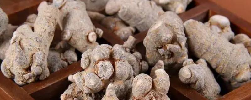 三七好坏怎么分辨，品质好的外形饱满且干度高